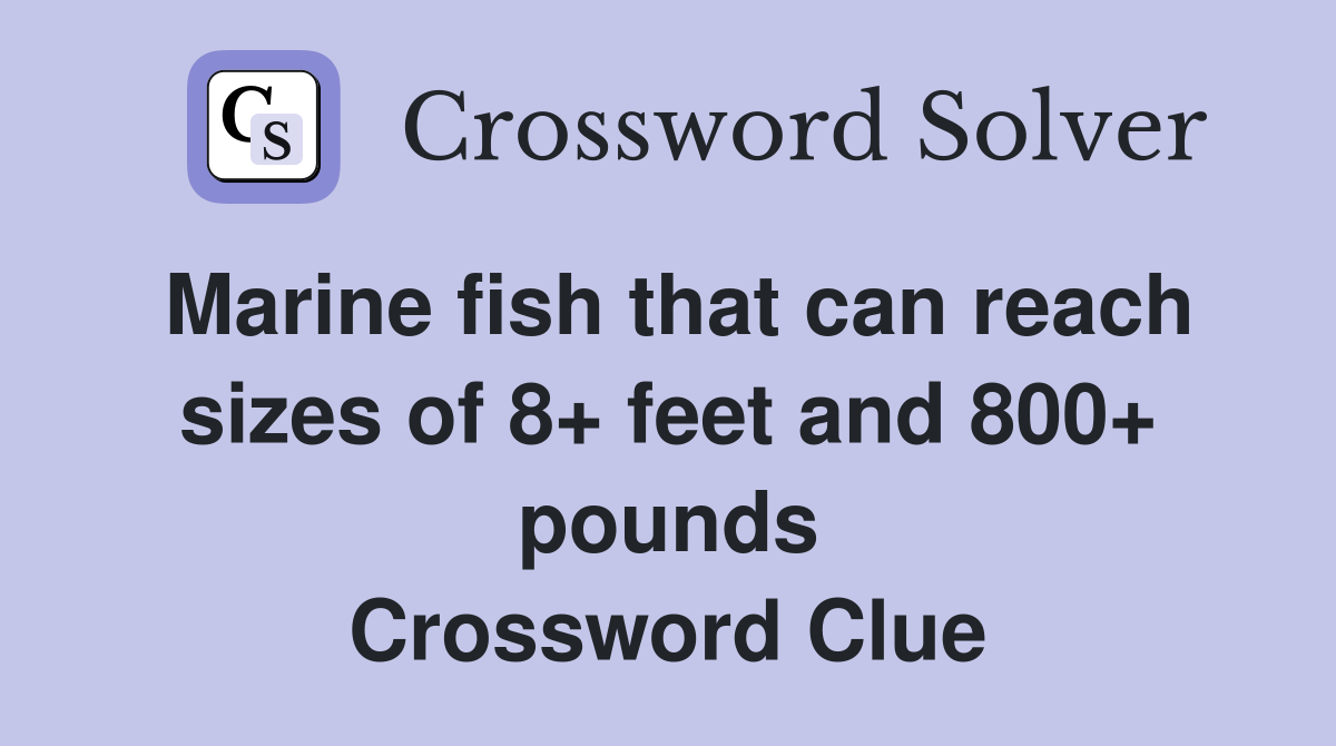 Marine fish that can reach sizes of 8+ feet and 800+ pounds - Crossword